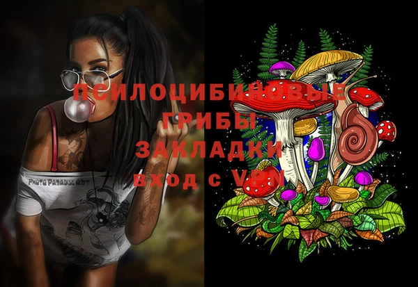 первитин Алексеевка