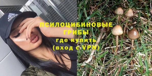 первитин Алексеевка