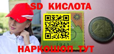 мдпв Камышлов