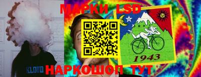 мдпв Камышлов