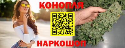 мдпв Камышлов