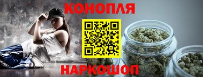 мдпв Камышлов